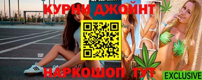 сатива Можга