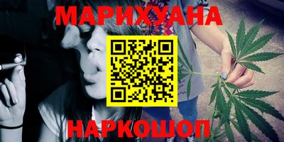 сатива Можга