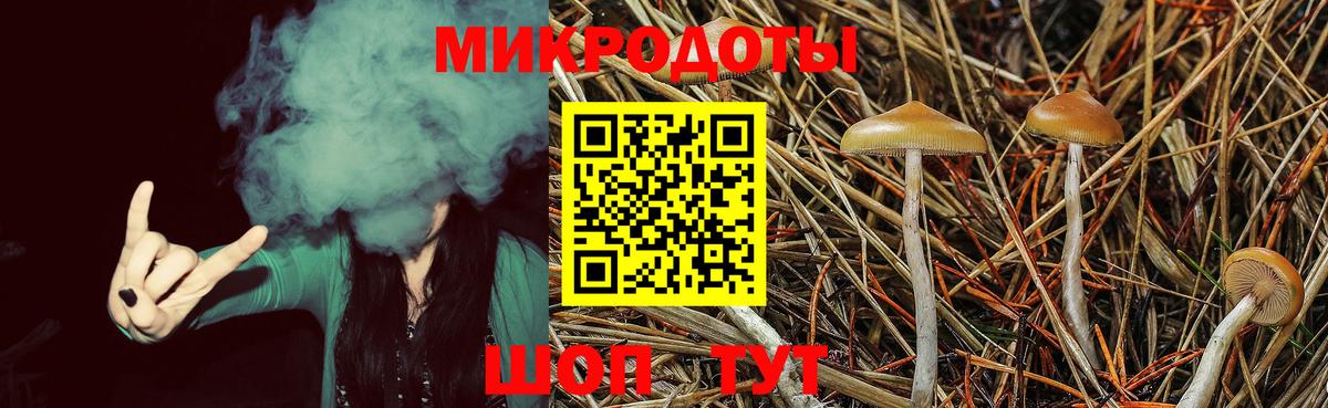 купить наркотик  Галлюциногенные грибы ЛСД  Вход с VPN  Чебоксары 
